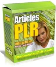 7000 PLR Articles